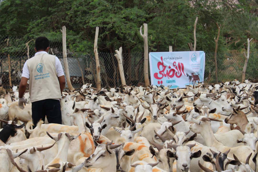 sacrifice project Yemen 2021  