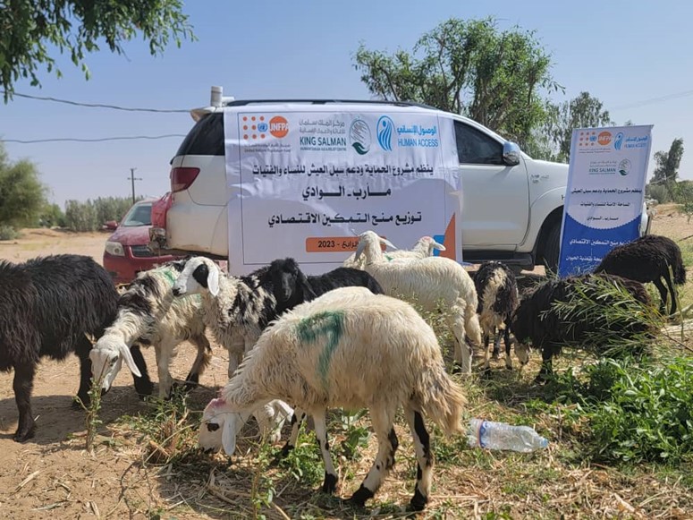 توزيع الدفعة الثانية من منح التمكين الاقتصادي في مجال تربية المواشي