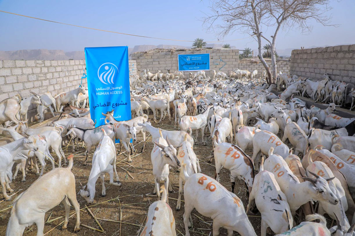 تحضيرات جارية على قدم وساق لتنفيذ مشروع الأضاحي