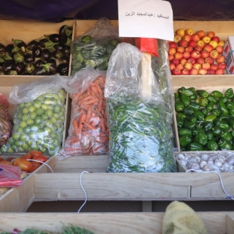 Empowering women economically and expanding the cycle of production in Marib