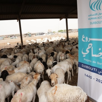 Over 20 thousand people receive sacrificial meat in Djibouti