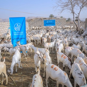 Preparations underway for implementation of sacrificial animal project