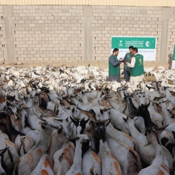 KSrelief reviews arrangements for implementation of the sacrificial meat distribution project